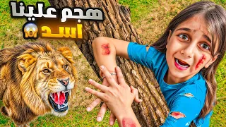 أسد اقتحم بيتنا بنص الليل وهجم علينا ذهب وألماس عاشوا ليلة صعبة كتير 