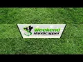 A tool that you can use to help you win money on horse racing