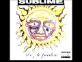 We're Only Gonna Die For Our Arrogance - Sublime