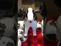 Eat Mor Chikin
