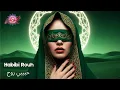 Lagu Habibi Rouh II – حبيبي روح - Arabic Techno \u0026 Oriental House Mix
