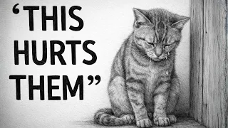 Cat Psychology | 14 Everyday Things That Can Hurt Your Cat’s Feelings