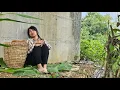Download Lagu Poor Tu Dao lost all her memory and has no place to stay. Will CEO John continue to look for her?