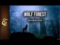 Download Lagu Wolf Forest | ASMR Ambience | 1 Hour #DnD #RPG