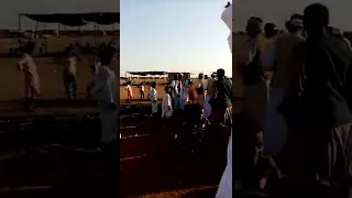 الفنان عمر ودريره  الفنان عمر ودريره