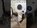 Download Lagu Check out this product on TikTok https://vm.tiktok.com/ZP8NBqAC1/      #cat #catbox #pets