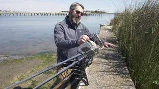 Clamming Rakes Explained - Eastern Metal Works Inc