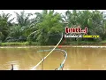 Download Lagu Gila bener!!! Mancing di Sungai saat banjir besar malah diserang rombongan ikan ganas