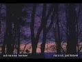 adrianne lenker - not a lot, just forever (official audio)