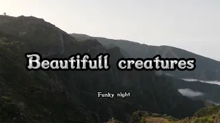 Download Dj funky night | beautifull creatures | Remix rawi beat MP3