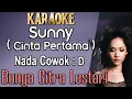 Download Lagu Cinta Pertama /Sunny (Karaoke) Bunga Citra Lestari BCL Nada Pria/ Cowok/ Male key D Sani