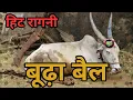 Download Lagu बूढ़ा बैल | Aaya Budhapa Kadwa Kar Ke Ragni | Pandit LakhmiChand Ki Hit Ragni
