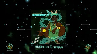 buddynice 21 bridges remedial mix 