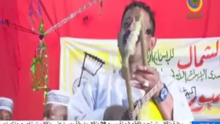 محمد النصري شادية دندنها