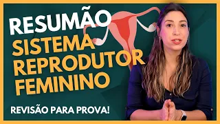 Resumão: SISTEMA REPRODUTOR FEMININO