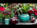 Eclectic Holiday Landscaping Ideas Mixing Colors, Patterns & Sparkling Festive Details!