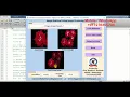 Matlab Code for Image Retrieval Using Image Processing Full Source Code