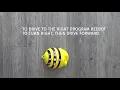 3 BeeBots - Controls