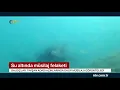 NTV | Su altındaki müsilaj felaketi: 30 metre derinliğe kadar müsilaj kaplı