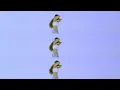 효린 XIA(준수) 성인식(Coming of age ceremony) | 장하온(choreo.Invin)