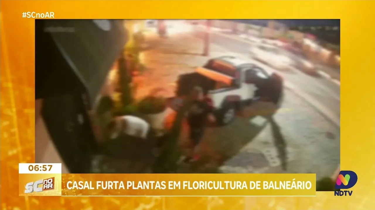 Casal é flagrado furtando plantas em floricultura de Balneário Camboriú