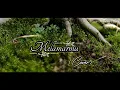 Download Lagu MELAMARMU_Badai Romantic_\