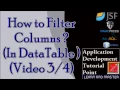 JSF Tutorials for beginners - Apply Custom Filter DataTable data In DataTable Part