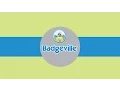 Badgeville Gamification Demo
