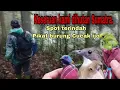 Download Lagu Pikat Cucak ijo kepala kuning/ tompel,Kinoi,Cucak jenggot dihutan...