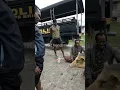 Download Lagu brimob lagi patroli di pedalaman papua #papua #intanjaya #indonesia #polri #brimob