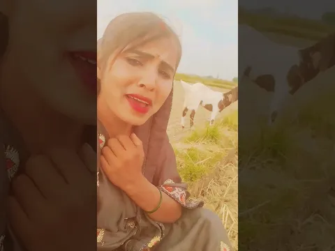 #bhojpuri