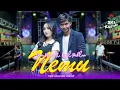 Download Lagu Nemu - Diva Hani Ft. Rizal Pahlevi ( Official Music Video)
