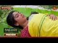 Download Lagu Moondru Mudichu - Preview | 17 Sep 2025 | Tamil Serial | Sun TV
