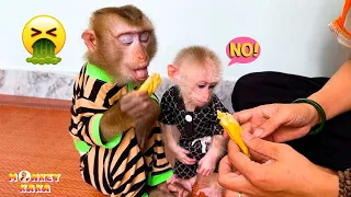 Download Mom sad because Monkey Kaka and Monkey Mit do not like eating durian MP3