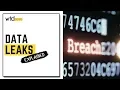 Data Leaks Explained