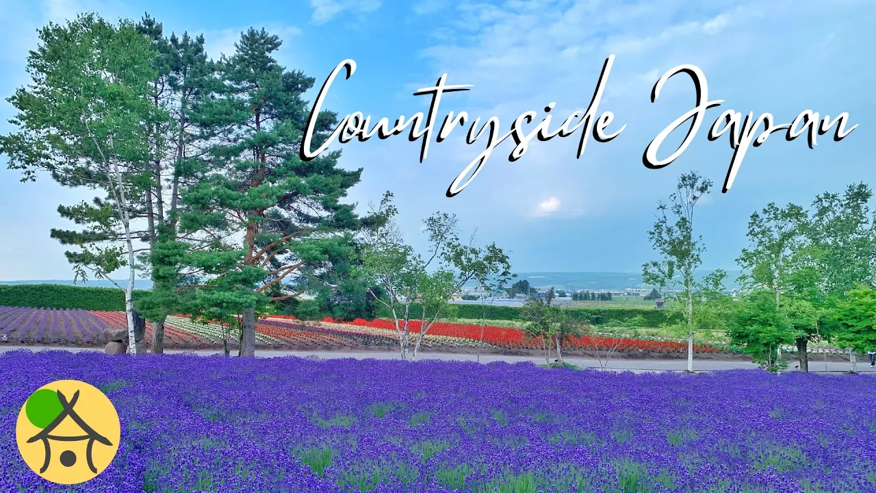 Relaxing in Hokkaido Lavender Fields and Blue Lake - Japanese Country Home Breakfast | mikasa Chill Relaxing in Hokkaido Lavender Fields and Blue Lake - Japanese Country Home Breakfast | mikasa Chill
