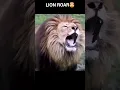 Download Lagu Big Cats sounds | puma sound | jaguar sound | Lion Roar | tiger roar #shorts