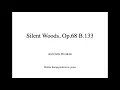 Dvorak - Silent Woods (Klid) (piano accompaniment)