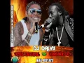 DJ Dalvy- Vybz Kartel vs Mavado War Mixtape