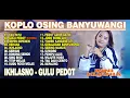 Download Lagu Dini Kurnia - GULU PEDOT - TAU TATU - IKHLASNO - FULL ALBUM KOPLO OSING BANYUWANGI 2025