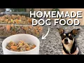 VET APPROVED Homemade Dog Food Recipe Affordable Easy