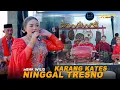 Download Lagu KARANG KATES NINGGAL TRESNO - Mbak Wilis | Tayub Ngudi Laras