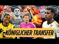 Download Lagu BAYERN TRANSFER-HAMMER RODRYGO ? | FCB WOLTEMADE POKER ESKALIERT | NACHRUF DIOGO JOTA | Buli News