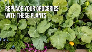 Download 5 Things You Can Eat from the Garden Every Day Even If You're Not a Homesteader MP3
