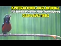 Download Lagu MASTERAN KOLIBRI NINJA GACOR FULL ISIAN CILILIN DAN KAPAS TEMBAK COCOK BUAT MATERI KONIN TROTOL