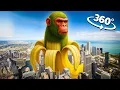 Download Lagu Chimpanzini Bananini - City in 360° Video | VR / 8K | Chimpanzini Bananini Meme)