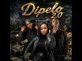 Dipelo 2.0