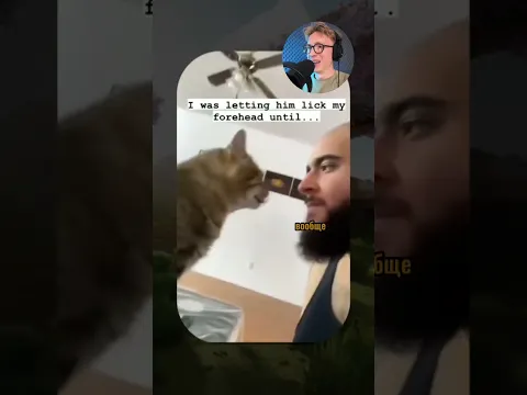 ВИРУСНЫЕ ВИДЕО / Самый умный кот на свете 🧠