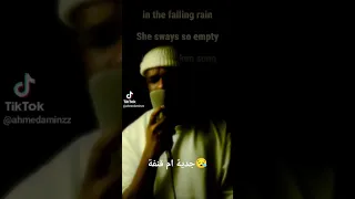 احمد امين جدية ام قنفة 