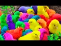 Download Lagu لبيك اللهم لبيك | تكبيرات العشر من ذي الحجة |تكبيرات يوم عرفه-تكبيرات عيد الأضحى🌷💛